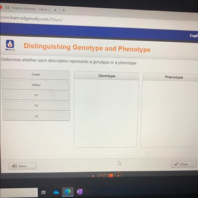 Determine whether each description represents a genotype or a phenotype Green Genotype-example-1