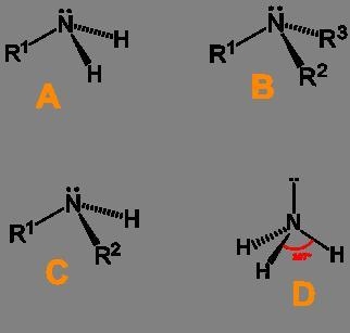 Helppppppppppppp plzzzzzzzz Identify each structure based on its label. Compound A-example-1