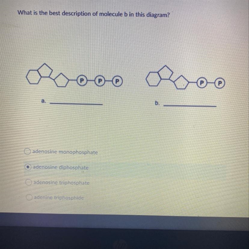 What is the best description of molecule b in this diagram?-example-1