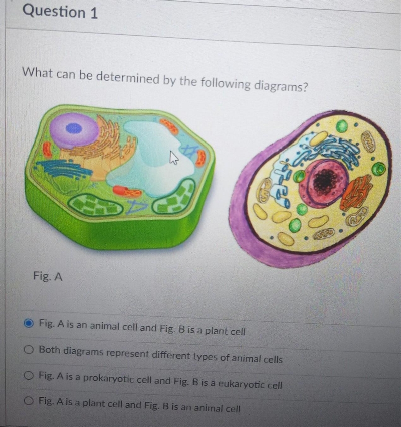 What can be determined by the following diagrams? plz don't guess​-example-1