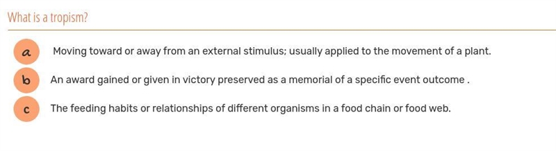 Which one is correct?-example-1