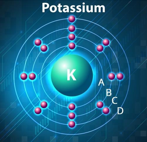 Examine the image of a potassium atom. (Image is below) Which of the energy levels-example-1