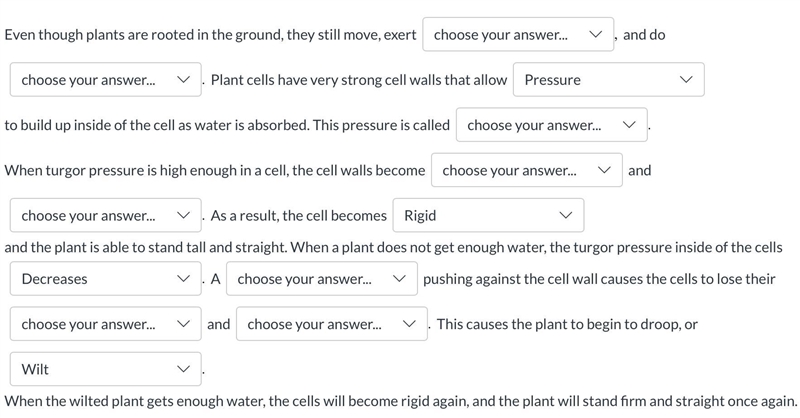 Can someone plz help me with this plz?????-example-1