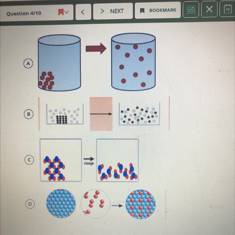 Please help idk what to do-example-1