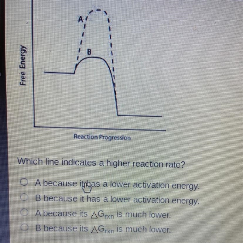 I need help ASAP... look at the picture:)-example-1