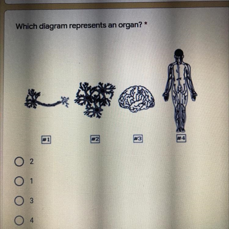 Please tell me what the answer is please-example-1