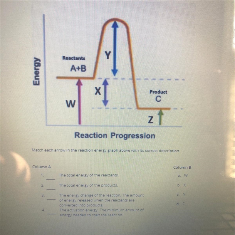 Can someone help me please?-example-1