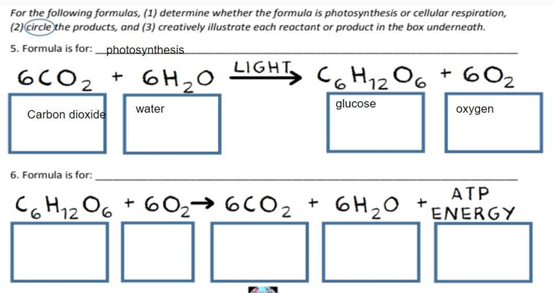 *10 points* /Number 6/-example-1