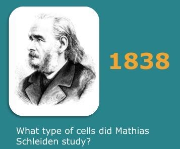 What types of cells did Matthias Schleiden study?... HELP PLZ!!!-example-1