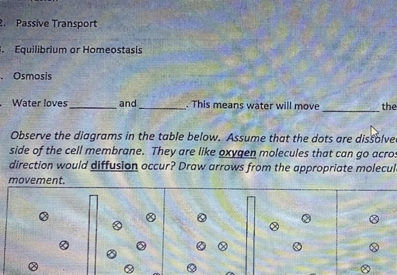 Diffusion and Organelle Retake Activity (please finish in 5-9 minutes) Question: Fill-example-1