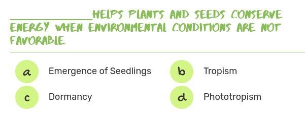 Which one is correct?-example-1