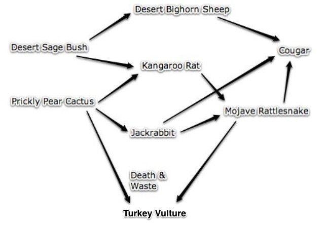 Review the desert food web above. What organism, absent in the web, would be MOST-example-1