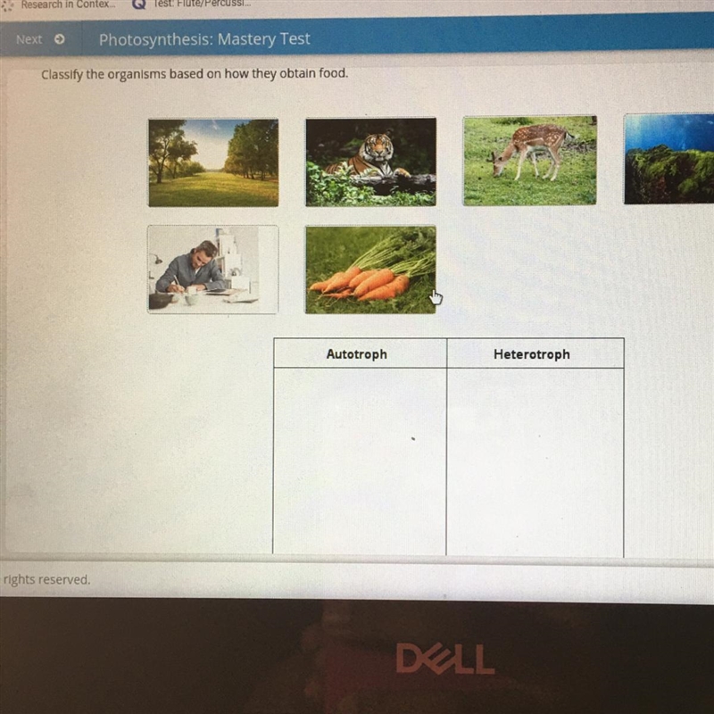 Classify the organisms based on how they obtain food. Autotroph Heterotroph Solve-example-1