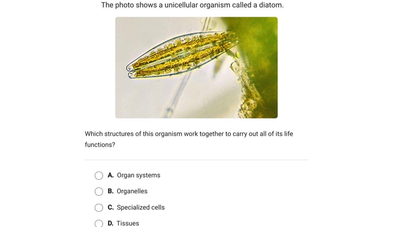 Help please! this is science :)-example-1