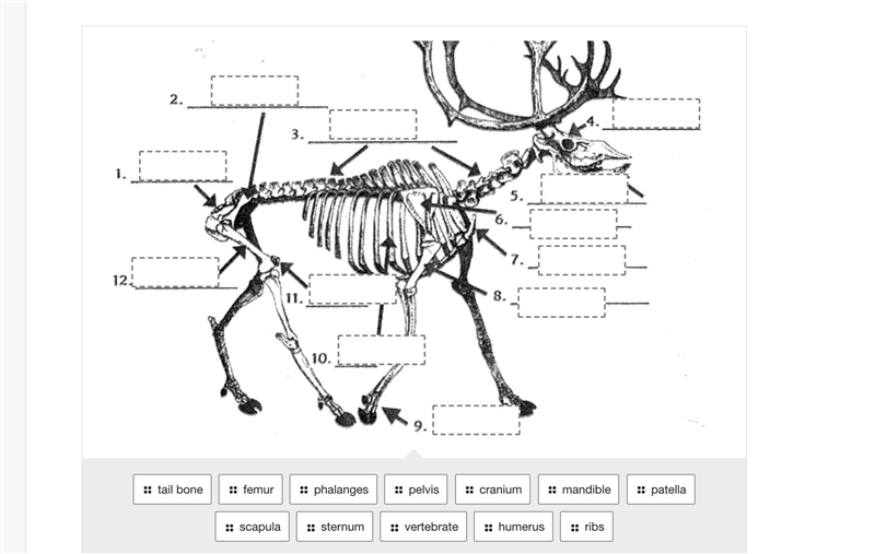 HELP ME PLZ- IM GONNA DIE- 1. You may not have ever heard of the Inupiat, Inuvialuit-example-1