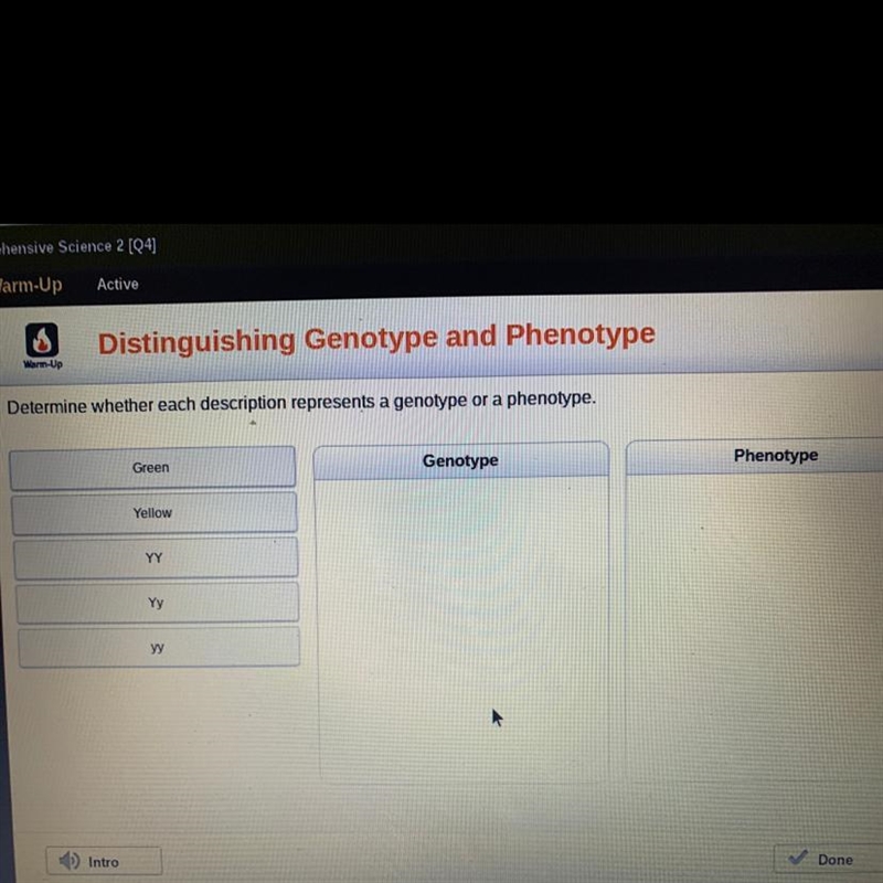 Determine whether each description represents a genotype or a phenotype.-example-1