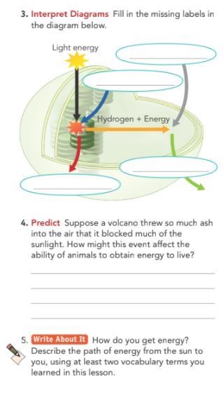 Help me ples HELP HELP HELP HELP HELP the vocab is autotroph, heterotroph, fermentation-example-1