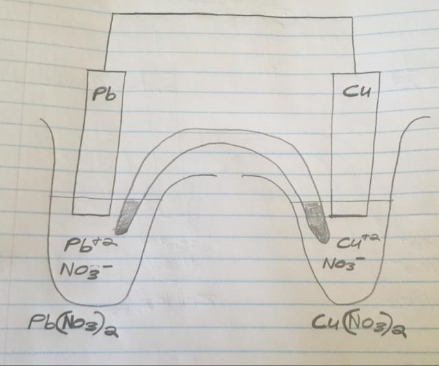 Identify the anode and cathode please-example-1