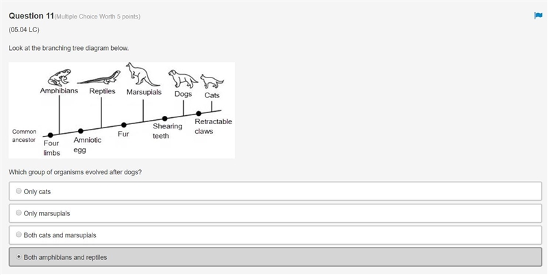 Look at the branching tree diagram below.-example-1