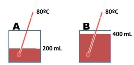 PLEASE ANSWER These two containers have a pink liquid in them. Which of these containers-example-1