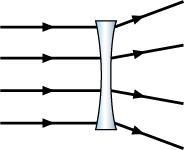 PLZ ANSWER The lens shown in the diagram causes the light rays entering the lens to-example-1