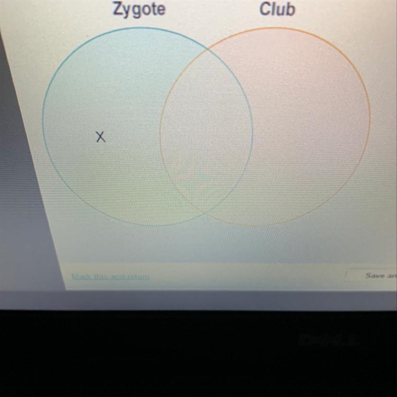 PLEASE ANSWER FAST!15 POINTS. Jared drew a diagram to compare zygote and club fungi-example-1