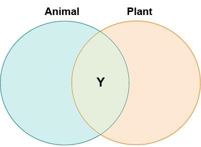 Lucia drew a diagram to compare animal cells and plant cells. Which label belongs-example-1