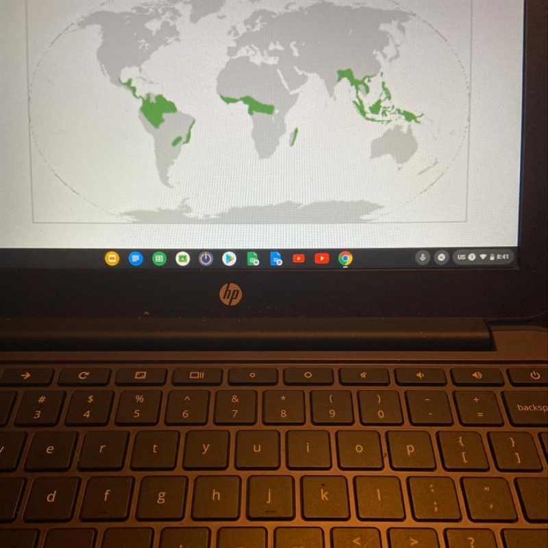 The green areas on the diagram show the world's rainforests. What can you conclude-example-1