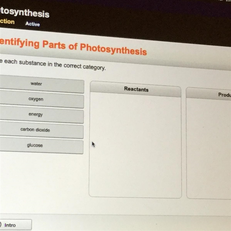 Identifying Parts of Photosynthesis Place each substance in the correct category. water-example-1