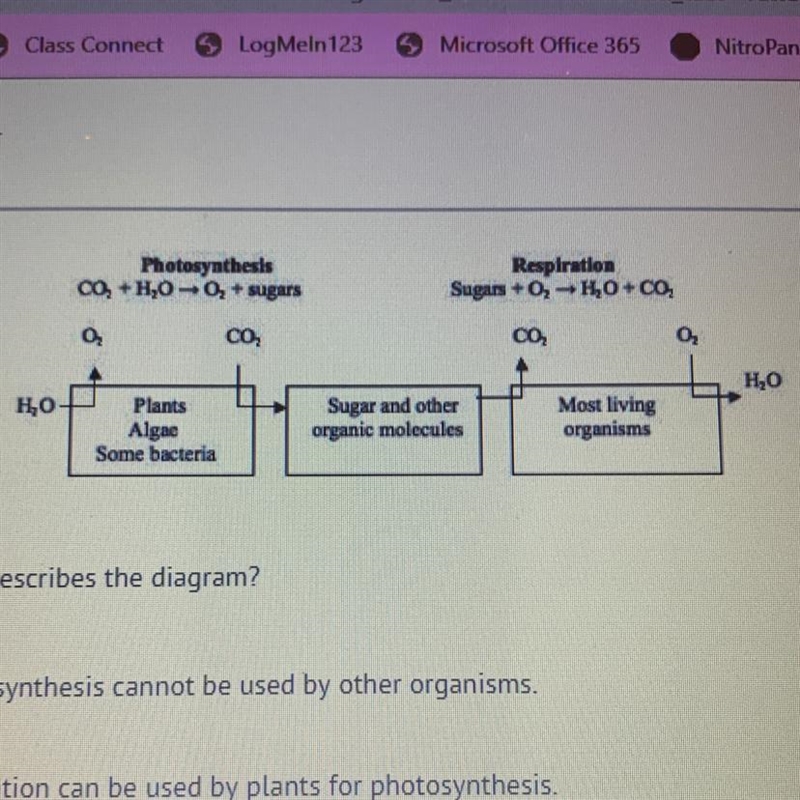 Which statement correctly describes the diagram? A) The products of photosynthesis-example-1