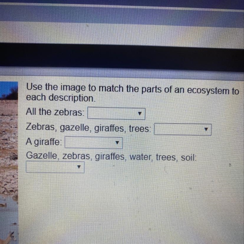 Need help! (community, ecosystem, organism, population) are the word that I need to-example-1