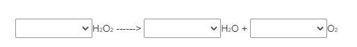 There are 3 different answers you can pick from. no coefficient 2 3-example-1