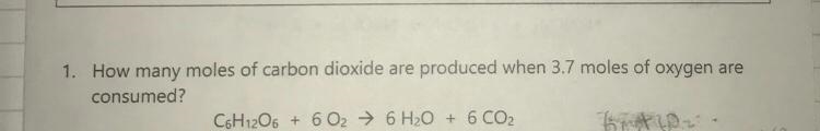 I need to know how to solve this entire thing I don’t know where to start-example-1