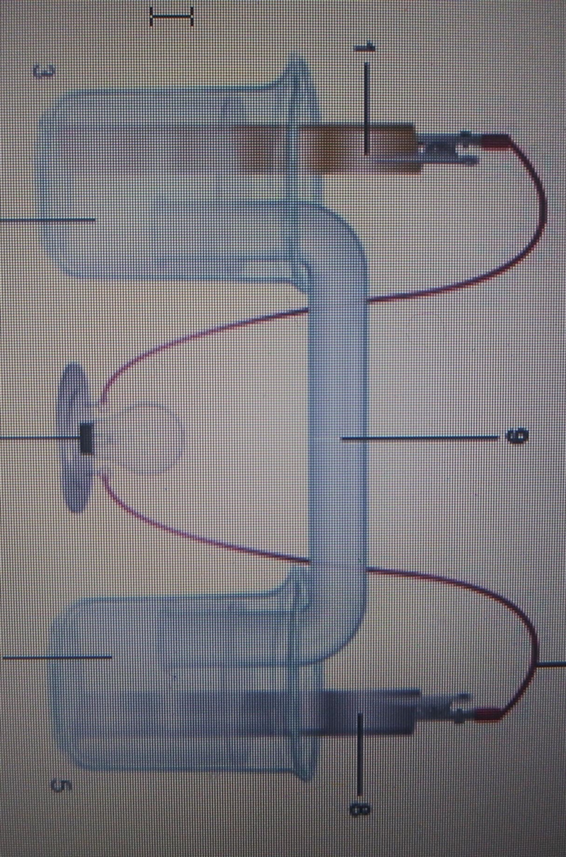 I need help asap. any help is appreciated. the diagram shows an electrochemical cell-example-1