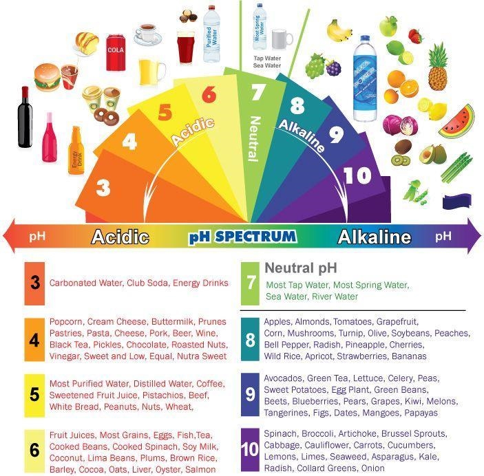 Help please place the ph test papers I️n order from most acidic to most alkaline-example-1