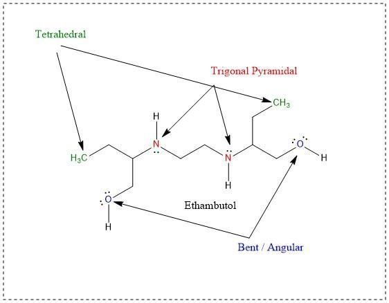 Determine the shape around the atoms in ethambutol-example-1