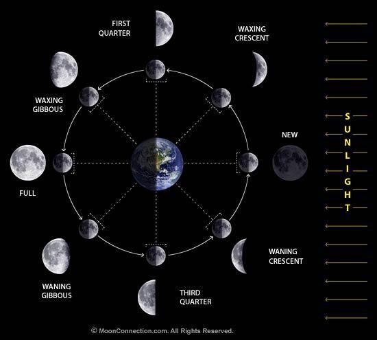 What is the moon phase in the middle?-example-1