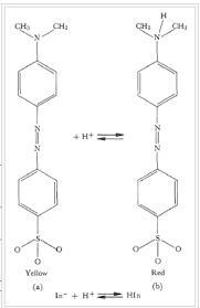 Briefly describe how a potentiometric pHmeter works. (Hint: Describe how the pH meter-example-1