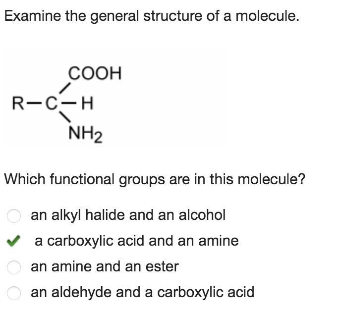 Examine the general structure of a molecule. Which functional groups are in this molecule-example-1