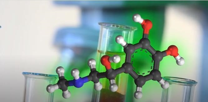 What kind of molecule is depicted here dopamine, enteramine,dimethadione,noradrenaline-example-1