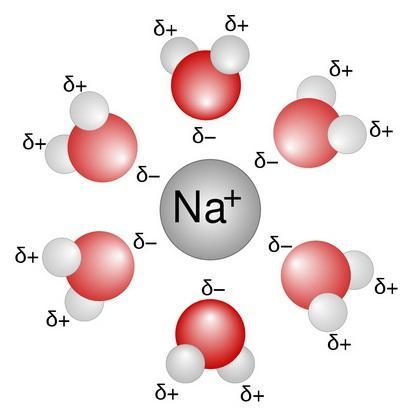 Surrounding ions with water molecules is known as-example-1