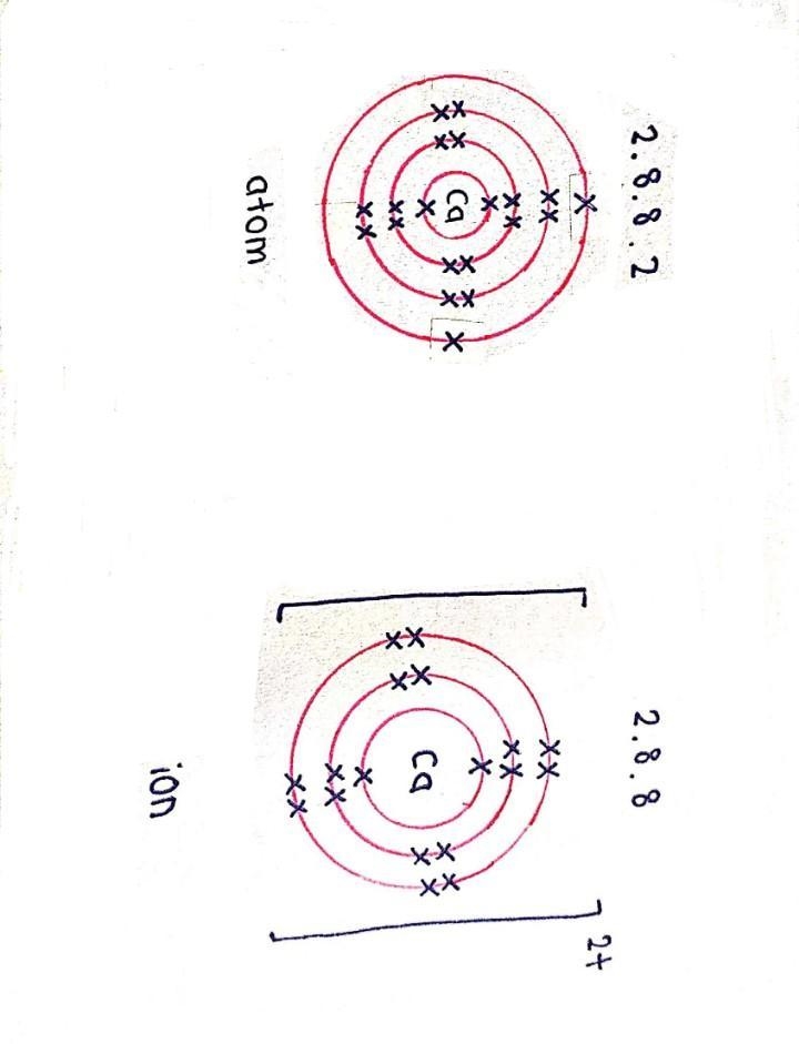 A calcium atom differs from a calcium ion in that the atom has a greater A) number-example-1