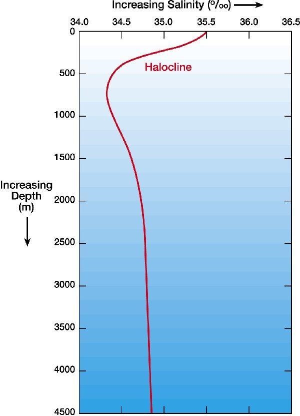 Which sample of ocean water would be the most likely to have the highest salinity-example-1