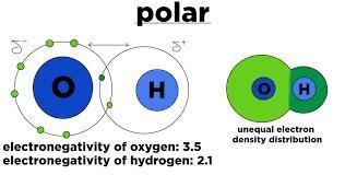 What is a polar bond-example-1