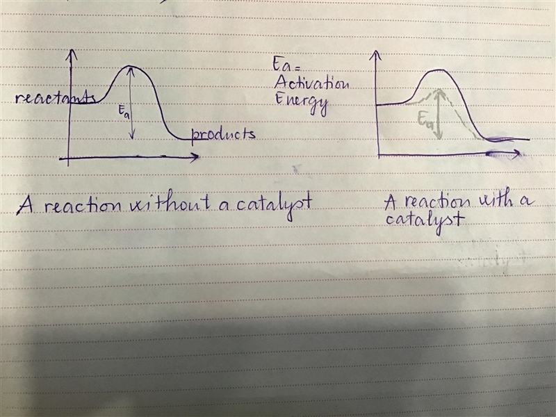 How does a catalyst increase the rate of a reaction?-example-1