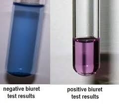 A few drops of a mixture of sodium hydroxide(NaOH) solution and copper (II) tetraoxosulphate-example-1