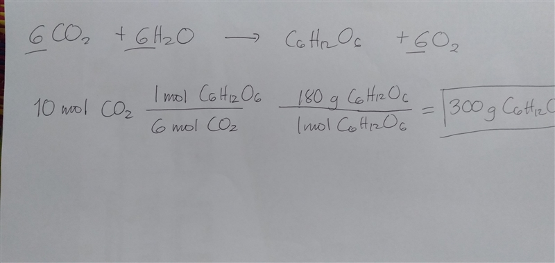 What mass in grams of glucose can be produced from a photosynthesis reaction that-example-1