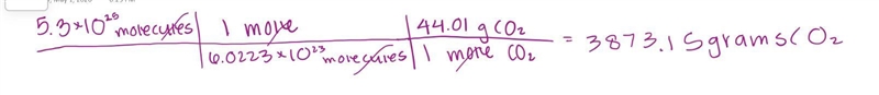 How many grams are in 5.3x10^25 molecules of co2-example-1