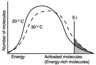 What is the significance of "Er" in the diagram? A.) average molecular energy-example-1