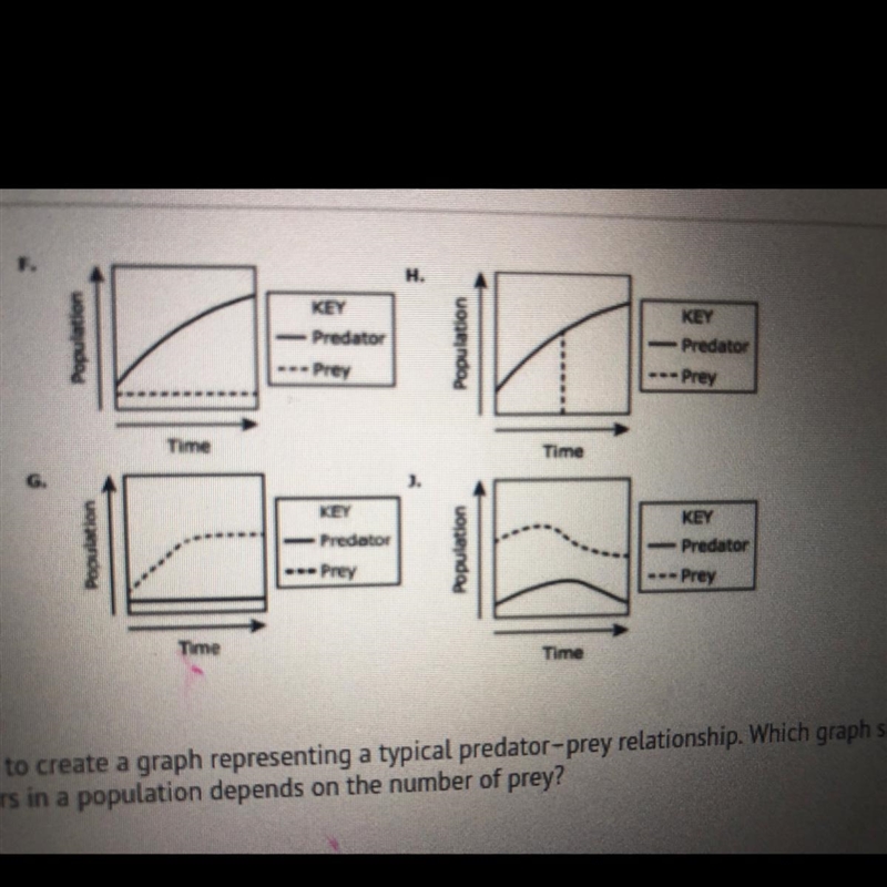 URGENT!??!!? Four students were asked to create a graph representing a typical predator-example-1